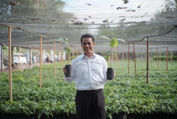 pangan-jadi-fokus-pemerintahan-prabowo-swasembada-beras-dan-jagung-di-depan-mata