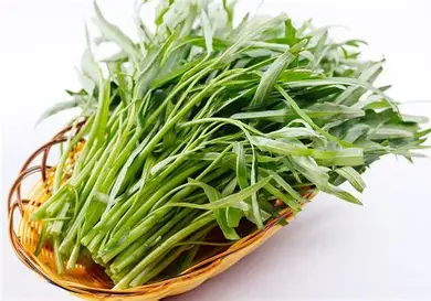 Kangkung Organik